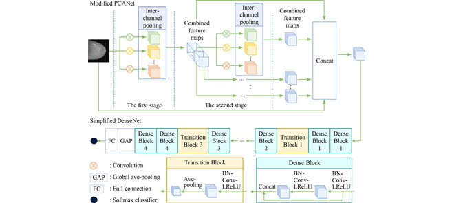BLOOD CANCER CELL CLASSIFICATION USING DENSENET- Medical Image Classification Using A Light-Weighted Hybrid Neural Network Based On PCANet And DenseNet